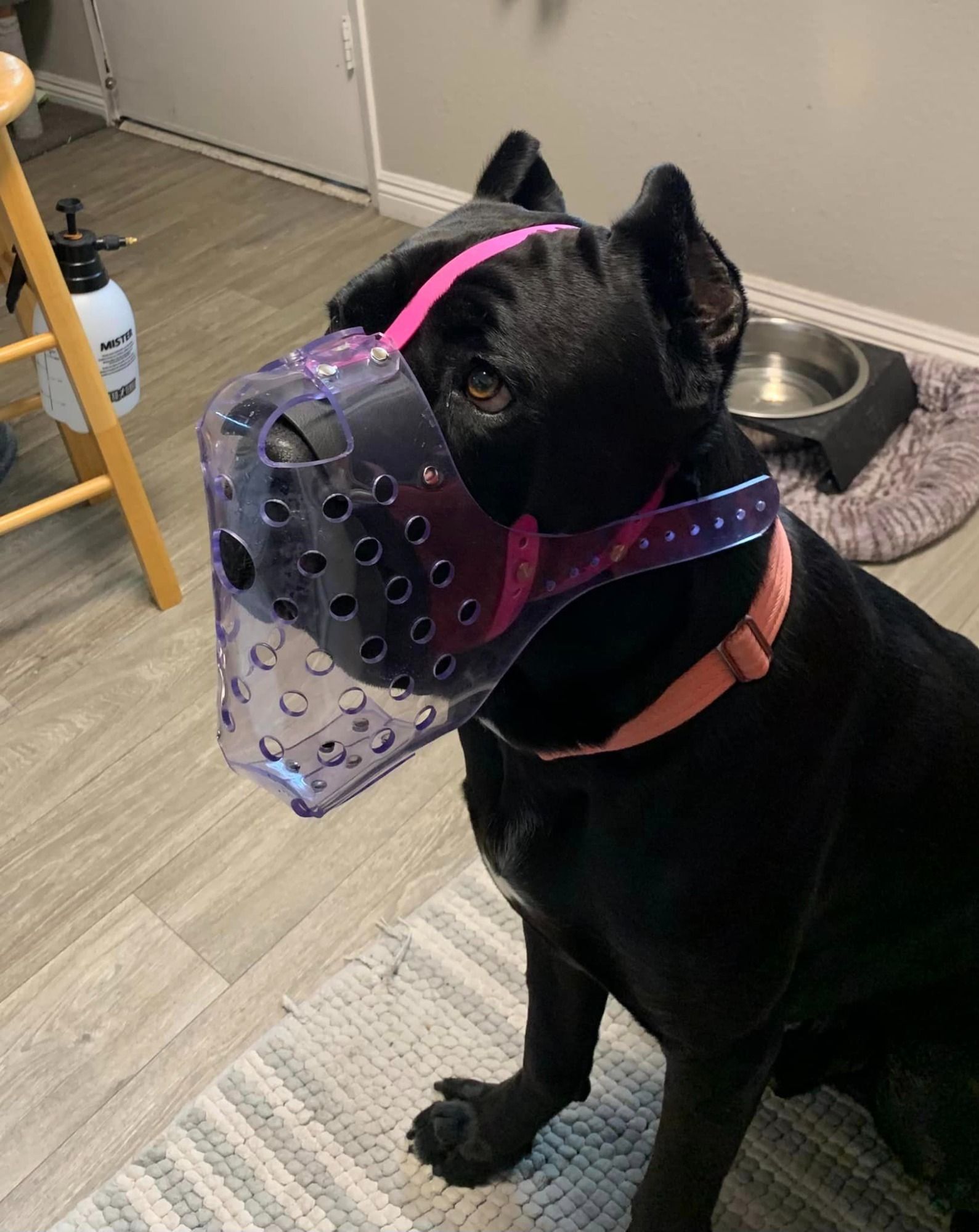 Pawfect Fit Bespoke Dog Muzzles